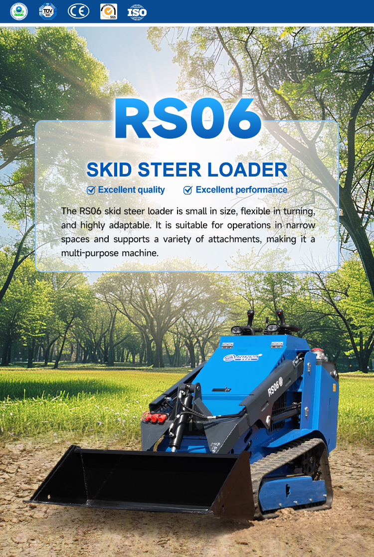 RS06_01.jpg